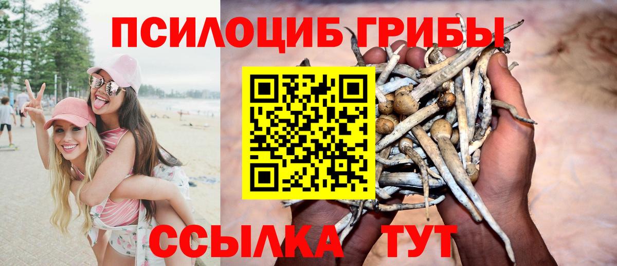 Псилоцибиновые грибы MAGIC MUSHROOMS Тосно